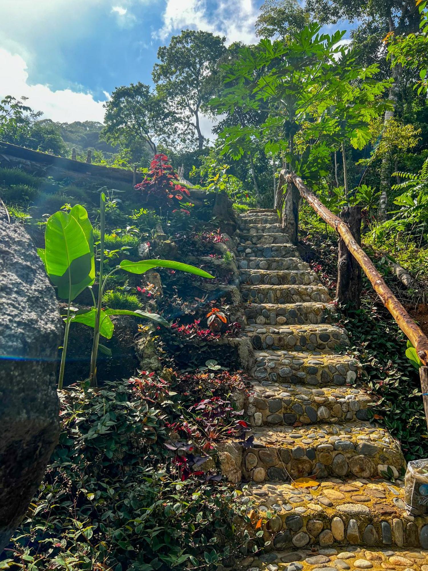 Hostal Paraiso Tayrona Kogui Los Naranjos Ngoại thất bức ảnh